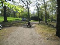 Pedal Cars photo