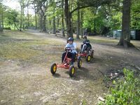 Pedal Cars photo