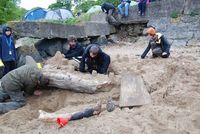 Sand Castle Competition photo