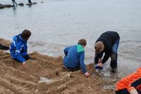 Sand Castle Competition photo