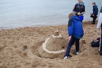 Sand Castle Competition photo