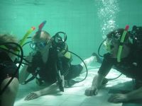 Scuba Diving photo