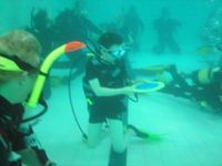 Scuba Diving photo