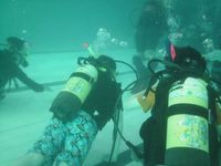 Scuba Diving photo