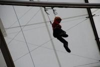 Sky Walk photo
