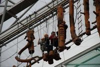 Sky Walk photo