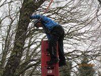Crate Climbing photo