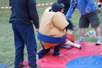 Sumo & Boxing photo