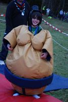 Sumo & Boxing photo