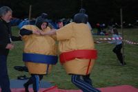 Sumo & Boxing photo