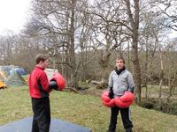 Sumo & Boxing photo