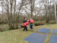 Sumo & Boxing photo