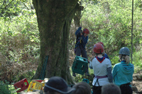 Crate Climbing photo
