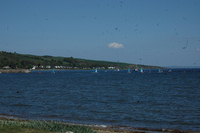 Sailing photo