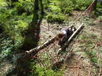 Assault Course photo