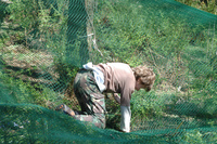 Assault Course photo